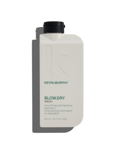 Kevin Murphy Blow Dry Wash Champú Limpieza Suave 250ml