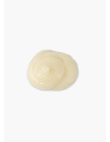 Kevin Murphy Blow Dry Rinse 250ml - TuCabelloSano