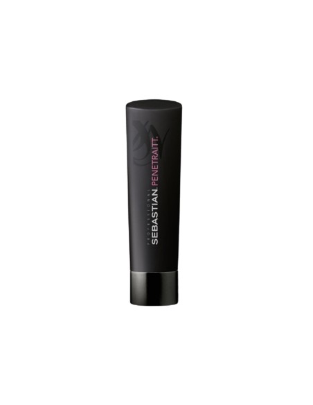 Sebastian Champú Penetraitt 250ml - TuCabelloSano